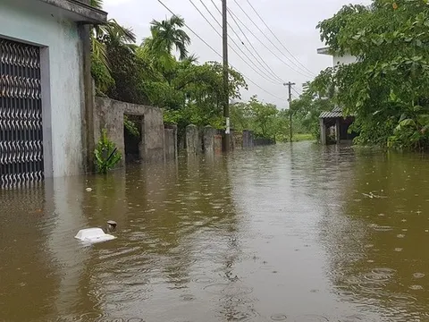 Đà Nẵng: Mưa xối xả, nhiều nơi ngập ngang ngực, dân phải bơi ghe